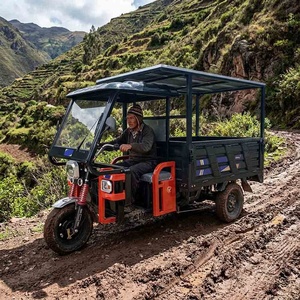 Triciclo Eléctrico de Carga Pesada para Entrega, Motocicleta Agrícola de 3 Ruedas para Adultos con Energía Solar - Product Image 1