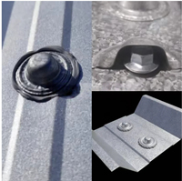 Galvanized Steel Roofing Fasteners Metal Roof Screw Caps for Cover Roof Screws in Container House Stainless Steel Is Available