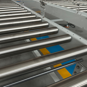 خطوط ناقل بكرة بحجم مخصص بسعر جيد للبيع بالجملة - Product Image 5