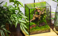 Boîte carrée en verre avec cadre en métal noir, porte pour petits insectes et reptiles, décoration moderne pour la maison ou le bureau, habitat