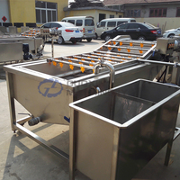 Lave-légumes à l'ozone, machine à laver les cacahuètes, les patates douces, les piments, machine à laver à bulles, machine à nettoyer les champignons