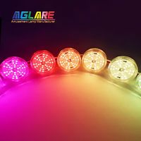 Aglare Luz LED de Píxeles RGBW de 60MM para Exteriores, Luz Puntual de 24V AC para Temática de Atracciones, Ideal para Noria
