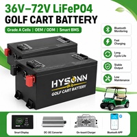 Paket Baterai Golf Cart LiFePO4 48V 51.2V 65Ah IP65 Daya Tinggi Siklus Dalam untuk Mobil Golf Listrik 2, 4, dan 6 Kursi, Output Stabil, OEM