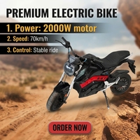 Moto Scooter Électrique 2 Roues Cyclomoteur Moto Électrique Adulte 2000W Vitesse 70km/h CKD CBU Moto Électrique Fabriquée en Chine