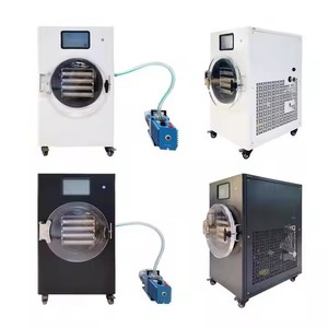 Mini Liofilizador de Alimentos para Uso Doméstico, Control Digital, Fácil Operación, Máquina de Secado por Congelación - Product Image 2