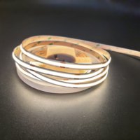 Strip COB 480LEDS/m Densitas Tinggi 8mm 3000K/4000K/6500K CRI Tinggi 90+ untuk Pencahayaan Display dengan Garansi 3 Tahun Dapat Dipotong dan Dibengkokkan