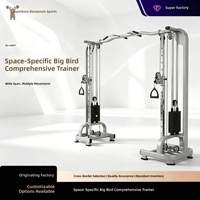 Plateforme de levage à poulie réglable à double contrepoids, grande taille, style spatial, pour machine de traction multifonctionnelle, livraison directe