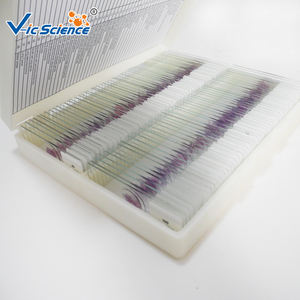 Il Laboratorio dell'Università Medica ha Preparato Vetrini Microscopici del Sistema Respiratorio Umano - Product Image 2