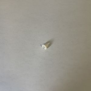 אל2 o3 ו-zro2 טקסטיל קרמיקה והנדסה - Product Image 6