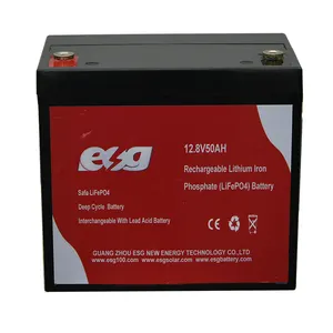 ESG 12v 8Ah 10Ah 20Ah 30Ah 40Ah 50Ah锂铁BMS能量深循环电池Lifepo4