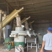 Línea de producción de pellets de biomasa grande de gran capacidad de China Proyecto de planta 10 A 12Tph Capacidad Línea de producción de pellets de madera para la venta