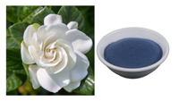 Poudre de pigment botanique biologique Gardenia Paradis GP-Blue Gardenia Florida Extract Natural Daily Chemicals pour le maquillage permanent Matières premières chimiques