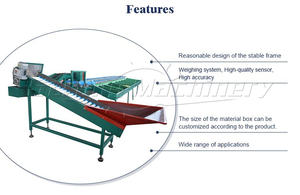 Machine de classement automatique de fruits et légumes pour usine de transformation de fruits SUS 304 matériel multifonctionnel prix de vente bon marché - Product Image 3