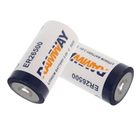 Batterie lithium-ion CKXIC ER26500 3,6V 9000mAh 240A Entrée AC/DC Montage sur panneau Internet des objets Compteur de gaz intelligent