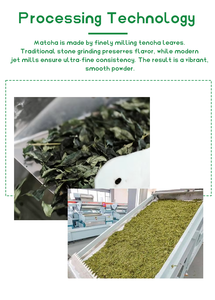 אבקת מוריגה אוליפרה OEM טוהר 99% אספקה בכמויות גדולות לשייק חלבונים, חטיפי אנרגיה ואריזות מותג פרטי בסיטונאות - Product Image 6