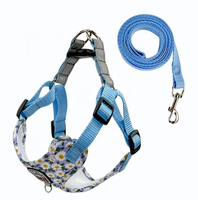 Ensemble laisse et harnais pour chien, laisse de promenade pour chien, harnais réglable pour chiot et chat, accessoires pour chiens de petite et moyenne taille
