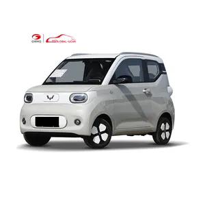 Saic Wuling Araba Miniev oto Elettrica Macaron Voitures elektrik Wuling Honguang Mini EV yetişkinler için 2024 elektrikli Araba