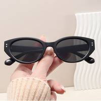 Gafas de Sol de Moda Retro para Mujer, Montura Pequeña y Estrecha, Estilo Ojo de Gato, Marca Privada, Logotipo Personalizado, Gafas de Sol de Lujo de Alta Gama, Venta al Por Mayor