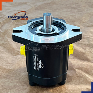 HENGYUHANG 2LGB OEM Pompe à huile à engrenages à vis ultra-silencieuse SETTIMA Pompes hydrauliques GR28 <span class=keywords><strong>GR33</strong></span> GR38 GR47 GR55 GR72 Pompe à engrenages hydraulique - Product Image 6