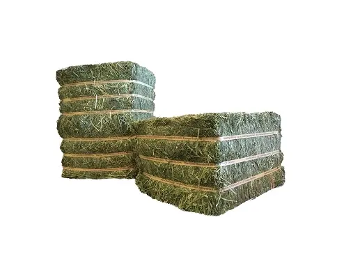 Best Grade Alfalfa Hay Bales Cattle Horses Feed, Alfalfa Hay price, Alfalfa Hay exporters