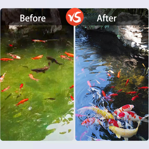 Filtre à tambour rotatif Cowater RDF-05 1320 GPH 5 T/HR en plastique PP 70 microns pour bassin à koï et aquaculture - Product Image 3