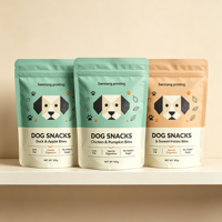 Sachets Doypack Personnalisés de Haute Qualité pour Aliments pour Animaux, Anti-Humidité, Anti-Odeur, en Nylon BOPP, Refermables avec Fermeture Éclair, pour Friandises
