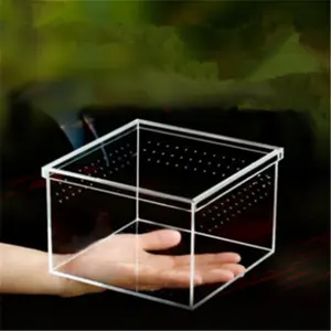 Boîte de reptile en acrylique transparente, boîte assemblée pour reptile, prix d'usine