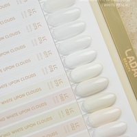 ZRKGEL TPO HEMA Free Ladai 24 Couleurs Gel Blanc Vernis à Ongles Professionnel Manucure Gel Polish Vente en Gros Non Toxique Sans Odeur Gel UV