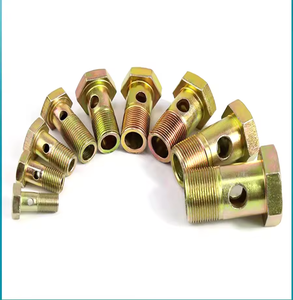 Pernos de manguera banjo galvanizados de alta calidad pernos de banjo automotrices huecos M6 M8 M10 M12 tornillos huecos hexagonales <span class=keywords><strong>2</strong></span> agujeros - Product Image 2