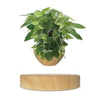 Plante en lévitation Pot de plante en lévitation magnétique Conception en forme de bol pouvant faire pousser du basilic, de l'aloe vera, de la menthe, des cadeaux décoratifs