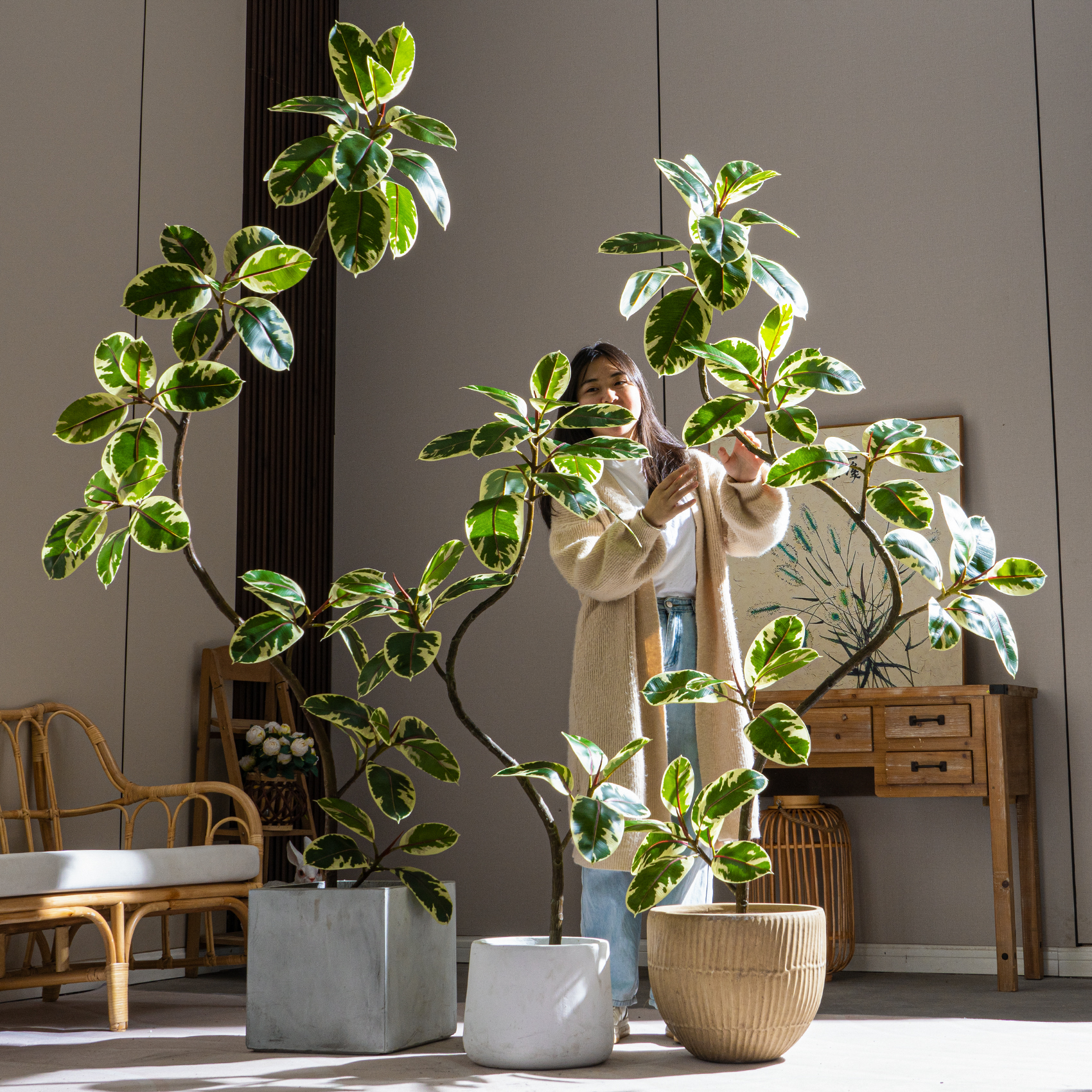 Finden Sie realistisch ficus religiosa pflanzen, perfekt fr Dekor -  Alibaba.com