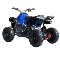 Offre Spéciale : Quad ATV 4 roues pour enfants 49cc 50cc ABS, 2x4, essence, 1000w, automatique, certifié EPA/CEC/CEE, capacité 80kg
