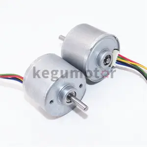 36mm * 26mm yüksek tork 12 volt dc fırçasız Motor 24v BL3626 elektrik motoru