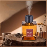 Diffuseur de parfum d'ambiance sans flamme 500 ml, senteur thé, désodorisant pour voiture, bâtonnets aromatiques, diffuseur d'aromathérapie