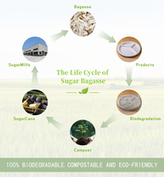 Assiettes et bols jetables modernes écologiques en bagasse de canne à sucre biodégradable de 6, 8,8 et 10 pouces, résistants et de qualité supérieure, pour pizzas