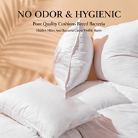 Coussin ChamXue en plumes d'oie et de canard, insert de coussin 100% coton, tissu anti-déchirure, coussin carré pour canapé, lit, décoration, doux