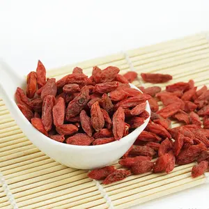 Buah kering sehat Goji Berry pertumbuhan alami Tiongkok buah kering organik Wolfberry Goji