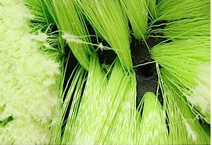 Brosse de lavage de voiture verte de 12 "avec poils doux moyens pour le <span class=keywords><strong>nettoyage</strong></span> de lavage <span class=keywords><strong>extérieur</strong></span> de <span class=keywords><strong>maison</strong></span> de camping-car de bateau de camion d'automobile - Product Image 4