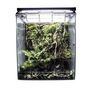 <span class=keywords><strong>Aquarium</strong></span> <span class=keywords><strong>Aquarium</strong></span> <span class=keywords><strong>Aquarium</strong></span> Landschapsarchitectuur Drijfhout Rododendron Wortel Gedraaide Wijnstok - Product Image 2