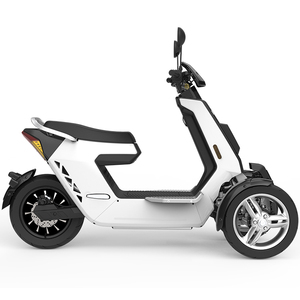 Triciclo de Pasajeros V28 Estilo Doohan, Motocicleta de 3 Ruedas con Certificación EEC, 2000W/3000W - Product Image 3