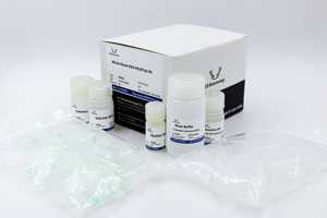 Kit MiniPrep ADN sang total, de haute qualité pour la recherche - Product Image 2