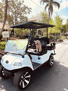 Nouveaux scooters à grande capacité très demandés, buggy 4 places à vendre, chariot de golf HDK - Product Image 4