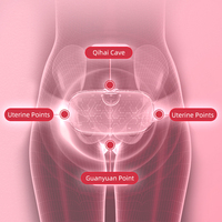 Coussin chauffant menstruel promotionnel en gros Vibration Grande zone de chauffage Ceinture chauffante menstruelle portable rechargeable