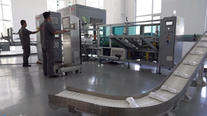 Robotic Load Pouches Into Cartons <b>Top</b> Load Case Packer Robotic Case <b>Loading</b> System - Product Image 2