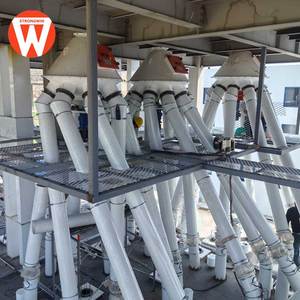 Impianto di Produzione Mangimi per Animali Strongwin, <span class=keywords><strong>30</strong></span>° Anniversario, Nuova Alta Produttività 30t/h 1000kw - Product Image 5