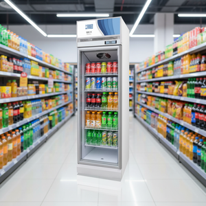 <span class=keywords><strong>Meilleur</strong></span> <span class=keywords><strong>Choix</strong></span> : Congélateur Vitrine à Porte Simple de Qualité Commerciale pour Stockage Alimentaire et Présentation Élégante des Produits - Product Image 3