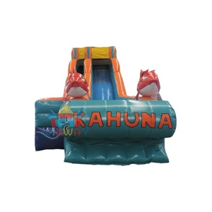Tobogán acuático inflable comercial Blue Ocean Rush Aventura acuática de PVC con temática de peces vibrantes para niños en el hogar o la escuela - Product Image 4
