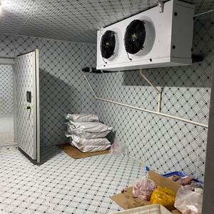 EMTH et dondurulmuş tavuk soğuk oda hava patlama dondurucu için soğuk depolama Blast dondurucu Blast Chiller dondurucu İndirimli fiyat - Product Image 3