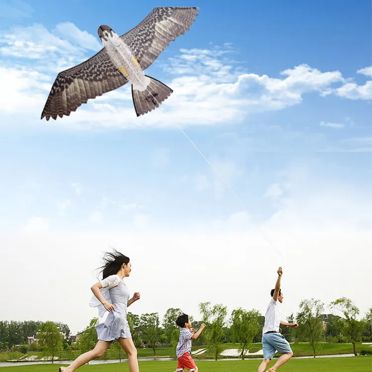 Diversión al aire libre deportes cometa águila sola línea Delta cometa al por mayor niños cometas