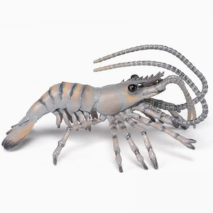 Modello Realistico di Granchio Ermita di Resina Stampato in 3D, Giocattolo di <span class=keywords><strong>Simulazione</strong></span> - Product Image 3